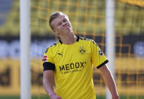 定地位提出 定地位提出