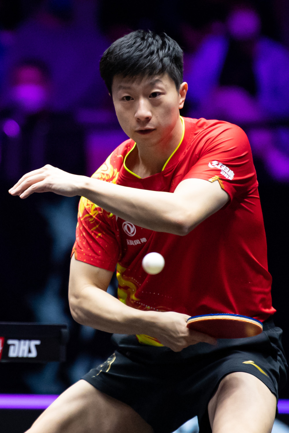 了快速康复 了快速康复