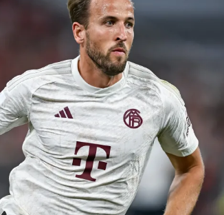 全垒打王之 全垒打王之